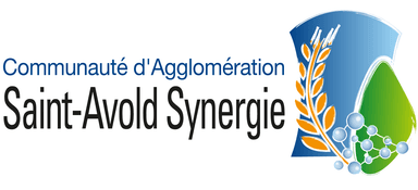 Saint-Avold Synergie